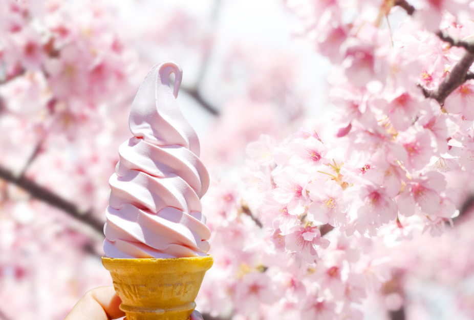 桜色の近藤商店のさくらソフトクリーム